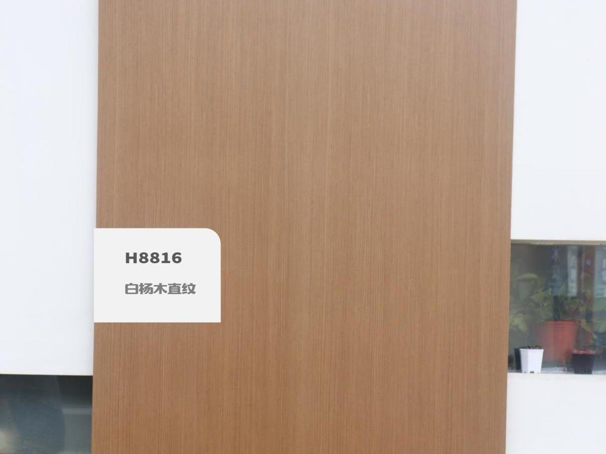 H8816白楊木直紋