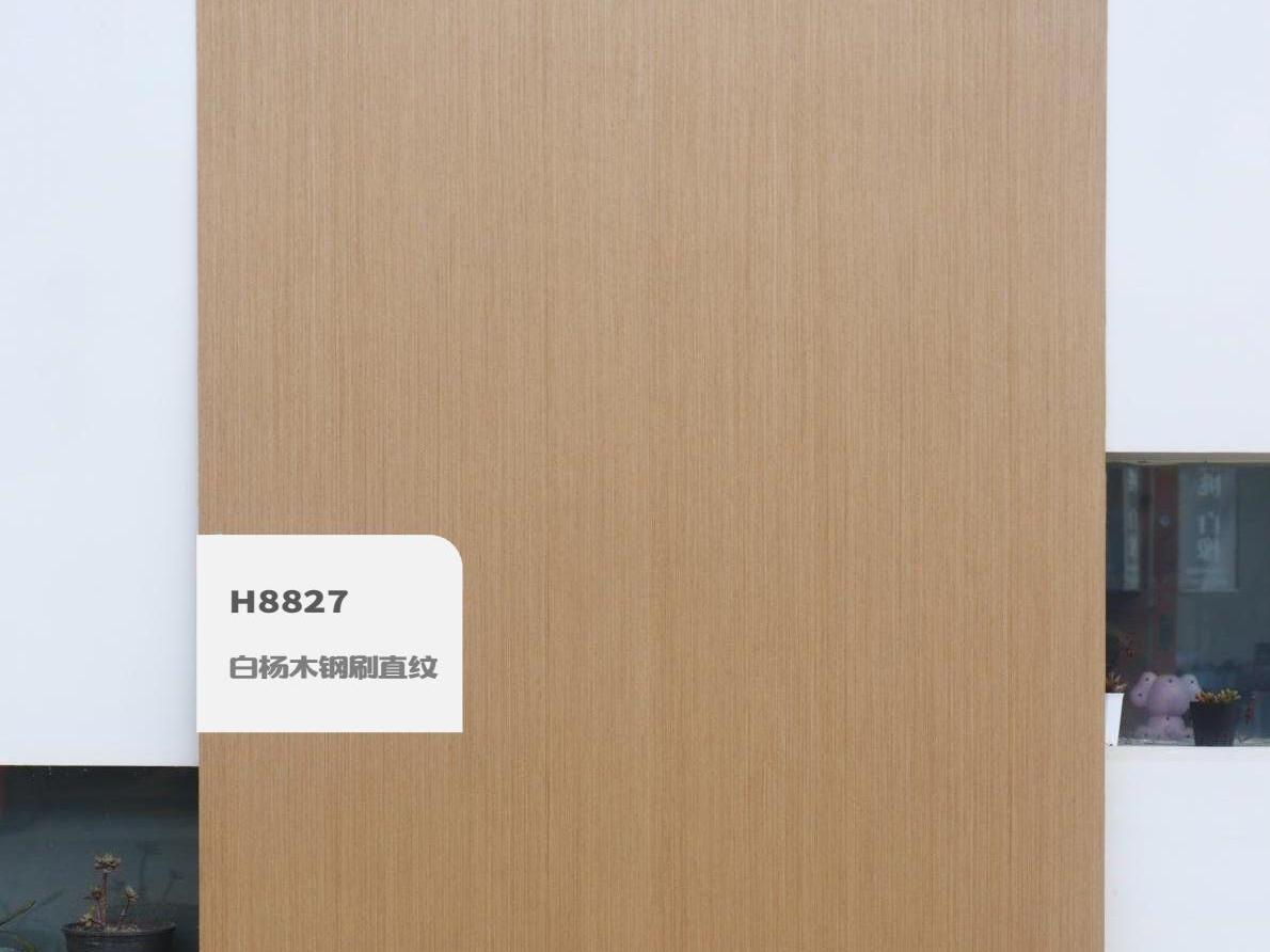 歐雅涂裝板電子樣冊(cè)（實(shí)拍） 1-逐頁(yè)轉(zhuǎn)圖片-00030